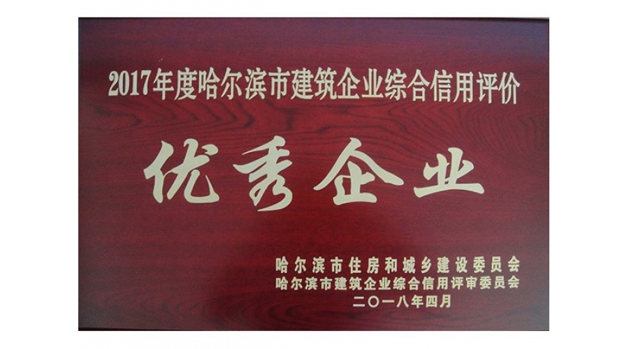 2017年度優(yōu)秀企業(yè)